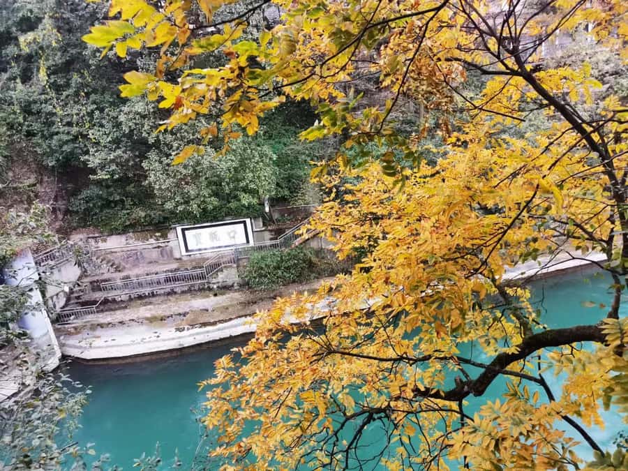 1-Day Mount Qingcheng and Dujiangyan Irrigation System Tour - One-Day Qingcheng and Dujiangyan: Why This Works So Well