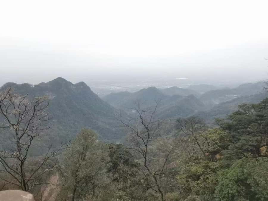 1-Day Mount Qingcheng and Dujiangyan Irrigation System Tour - Mount Qingcheng Front Mountain: Palaces, Caves, and Taoist Landmarks