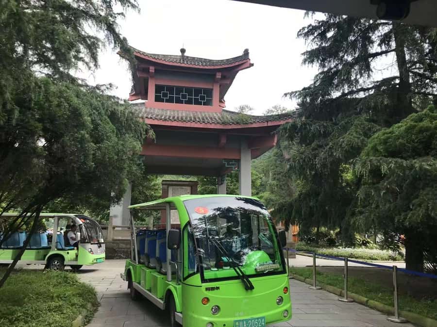 1-Day Mount Qingcheng and Dujiangyan Irrigation System Tour - Dujiangyan Ancient Irrigation System: The Water Story That Explains the Whole Region