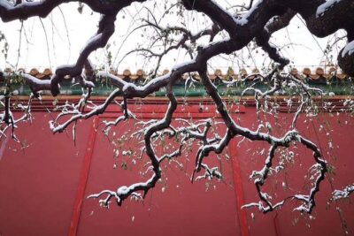 2-Day Beijing Sightseeing Highlights Combo Package with Lunch - 7:00 am Tiananmen Square: Fast Start, Big Energy