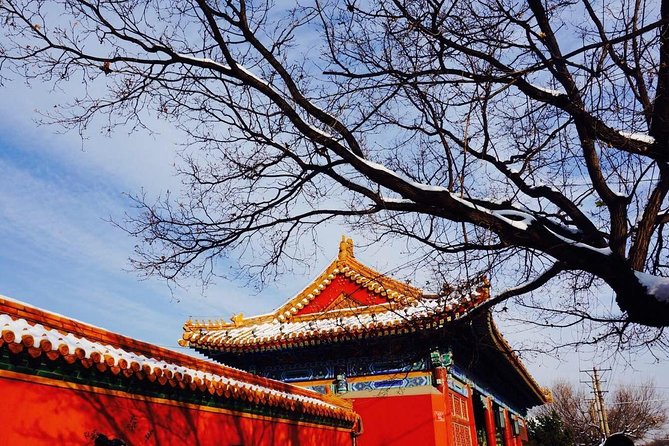 2 Days Beijing Group Tour Including Great Wall And Forbidden city - Temple of Heaven: where the day’s tempo shifts