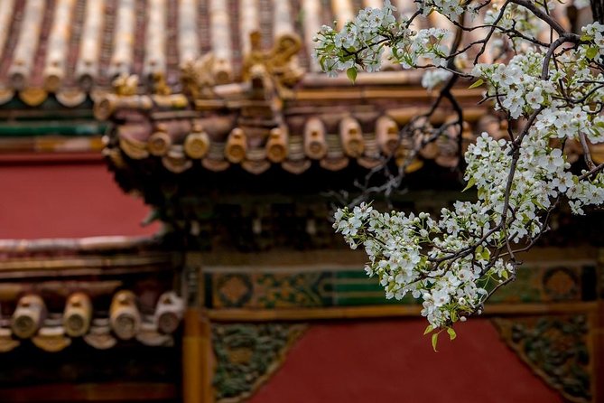 3-Day Private Beijing Tour with Forbidden City, Great Wall, Hutong and Lunch - Day Two: Mutianyu Great Wall Morning + Olympic Park Photo Stop
