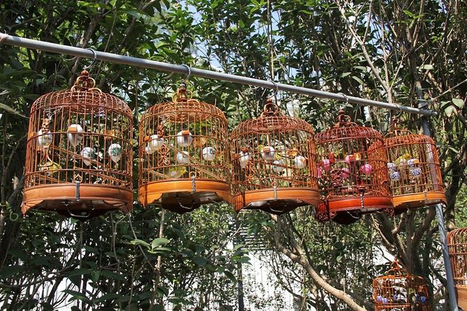 6-Hour Private Beijing Tour: Flower and Fish Market, Panjiayuan Antique Market and 798 Art Zone - Price and What You Get for $158