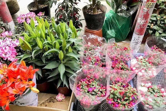 6-Hour Private Beijing Tour: Flower and Fish Market, Panjiayuan Antique Market and 798 Art Zone - Stop 2: Panjiayuan Antique Market and Weekend Specialties
