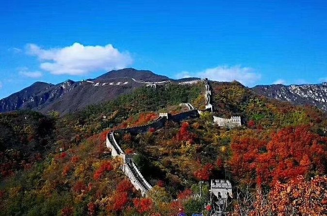 All-inclusive Mutianyu Wall and Forbidden City Private Tour - Price and value: what you actually get for $238