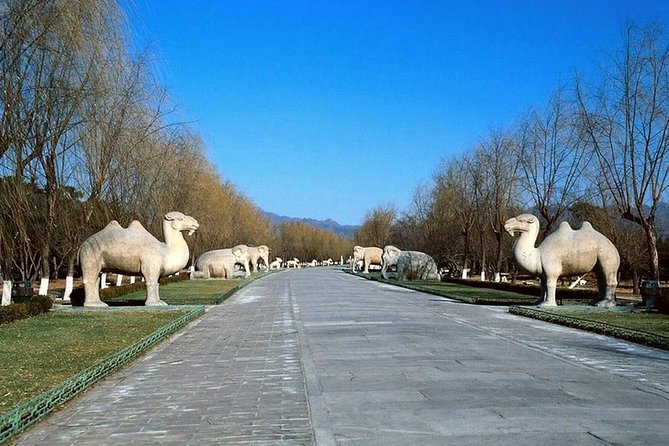 All Inclusive Private Tour to Mutianyu Great Wall and Ming Tombs - What’s actually included (and what that means for your day)