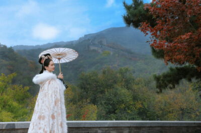 Beijing：Badaling Great Wall Tickets & Guided Tours - Daytime entry options: what you gain (and what you don’t) on the Wall