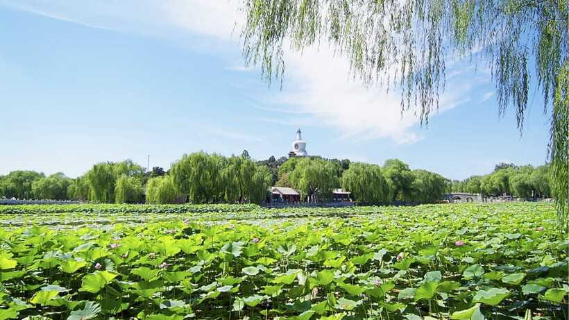 Beijing: Beihai Park Full Access Ticket - Must-See in China - Accessibility and Comfort: Useful Notes for Real Life