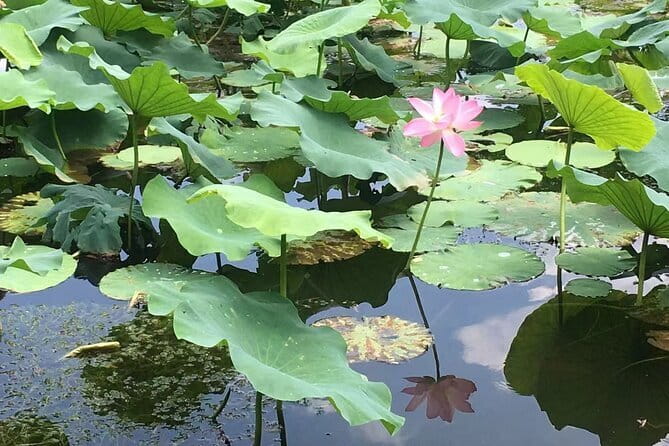 Beijing Forbidden City and Summer Palace Private Guide Tour - Summer Palace Yiheyuan: imperial garden time (plus optional boat)