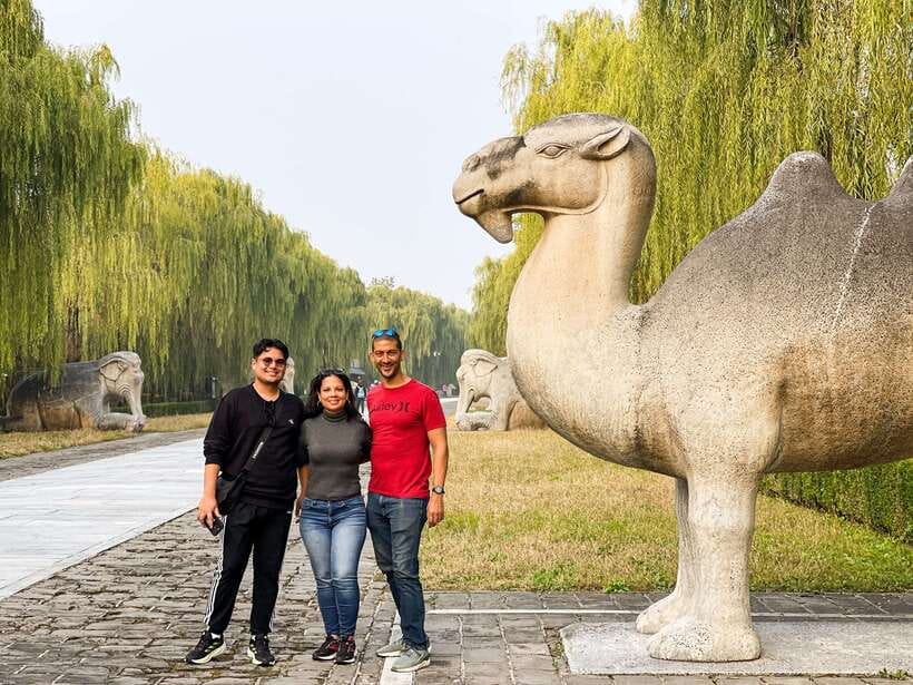 Beijing: Great Wall and Ming Tomb All-inclusive Private Tour - Ming Tombs: Changling or Dingling, and why you only pick one