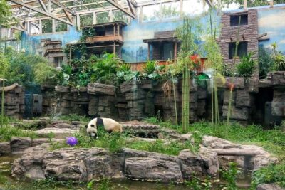 Beijing Half-Day Private Customized Tour: Visit Your Dream Spots - Stop-by-stop: what to expect from the most common targets