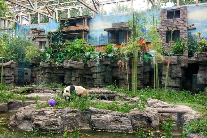 Beijing Half-Day Private Customized Tour: Visit Your Dream Spots - Stop-by-stop: what to expect from the most common targets
