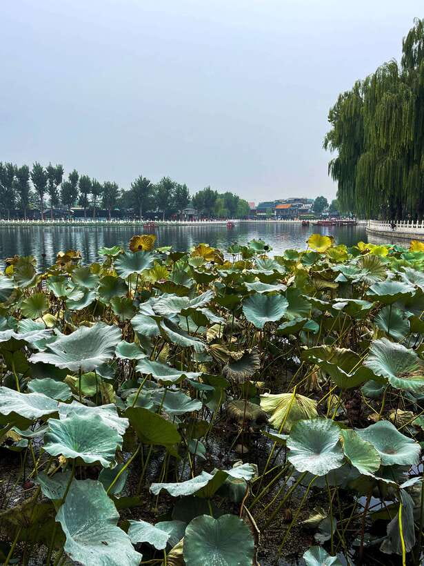Beijing: Hutongs & Drum Tower City Walking Tour - Climbing the 600-Year-Old Drum Tower and Taking the View