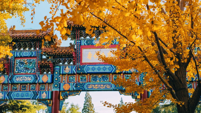 Beijing: Lama Temple (Yonghe Temple) Admission Ticket - How to do this visit without a guide (and still get a lot out of it)
