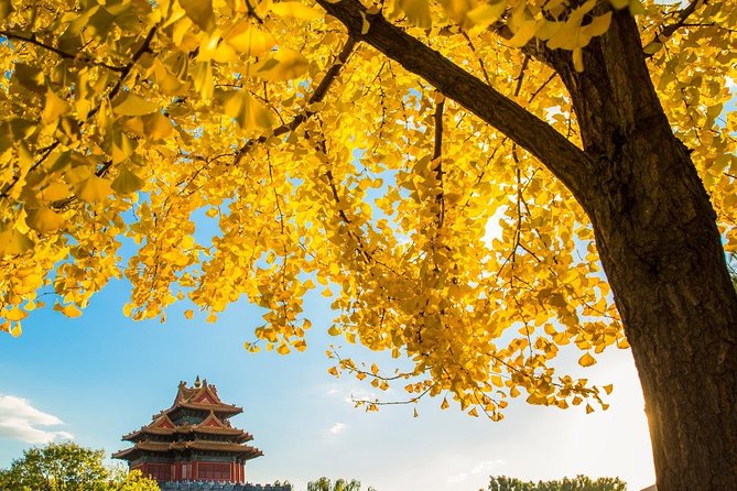 Beijing Layover Tour to Tiananmen Square and Forbidden City - Price Check: Is $180 a Good Layover Deal?