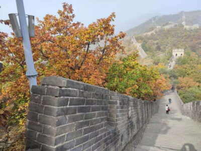 Beijing: Mutianyu Great Wall and Forbidden City Private Tour - Great Wall logistics: private transport plus entrance fees already handled