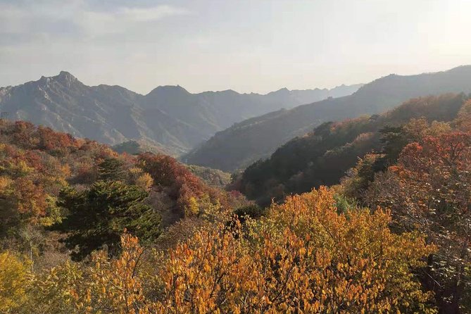 Beijing: Mutianyu Great Wall and Tea House Private Tour - A smoother Great Wall day than you’ll get on group tours