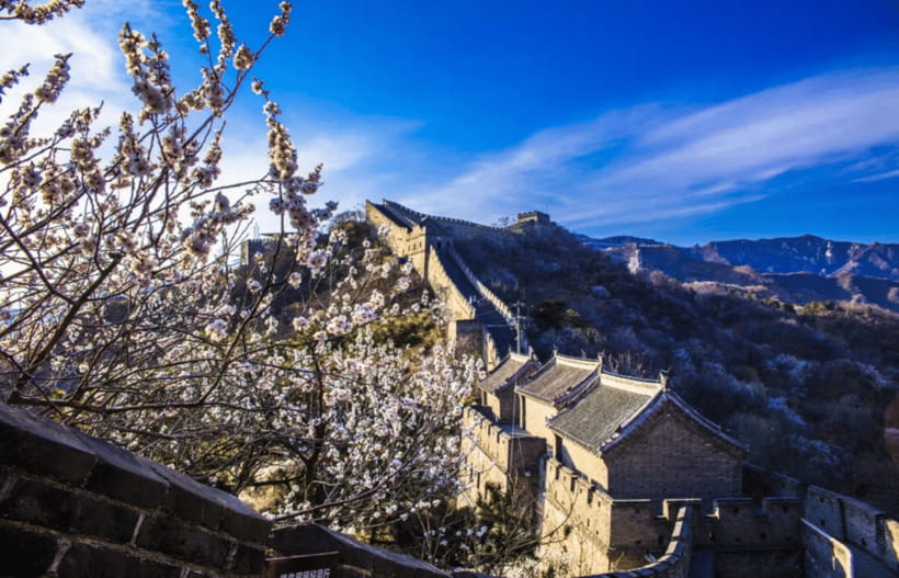Beijing Mutianyu Great Wall&ForbiddenCity All Inclusive Tour - The Pickup That Actually Reduces Stress: Hotel Lobby or Airport Starbucks