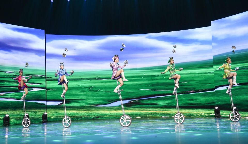 Beijing Night Tour with Acrobatics Show & PekingDuck Dinner - Private Group Comfort, English Support, and the Rules You Should Know