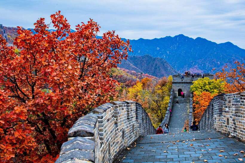 Beijing: Panda House w/Great Wall or City Sites Private Tour - Should you book this private panda-and-Beijing tour?