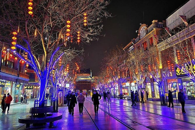Beijing Private Night Walking Tour: Qianmen Street, Tian'ammen Square and Wangfujing Street - National Centre for the Performing Arts: the Giant Egg at night