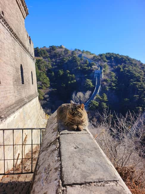 Beijing: Private Tour to Mutianyu Great Wall&Forbidden City - VIP pass and skip-the-line flow: less waiting, more walking