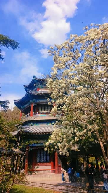 Beijing: Summer Palace Highlight Walking Tour - Marble Boat, the Long Corridor (728 meters), and why guided pacing matters