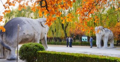 Beijing: Summer Palace, Sacred Road&Ming Tombs Private Tour - The Sacred Way: 18 pairs of 500-year-old marble guardians