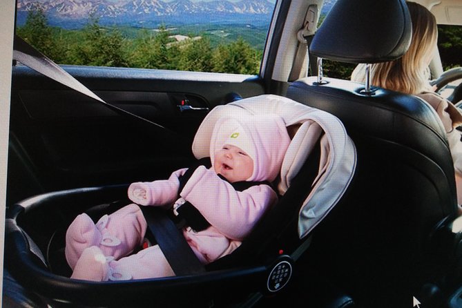Beijing Tailored Privated Day Trip by Licensed Driver - A private loop that makes first-time Beijing feel doable