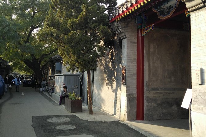 Beijing Tailored Privated Day Trip by Licensed Driver - Temple of Heaven: the one-hour reset between palaces