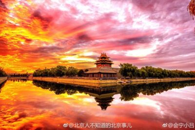 Beijing Tailored Privated Day Trip by Licensed Driver - The 8-hour shape of the day (and why the order helps)