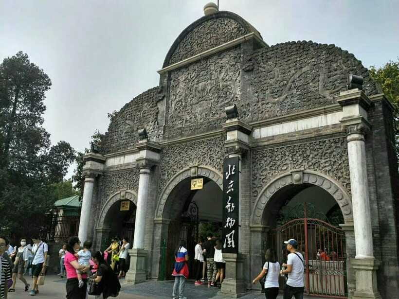Beijing: The Beijing Zoo Entry Ticket with Pandas - Service That Helps in Real Life: Andy, WhatsApp, and Quick Answers