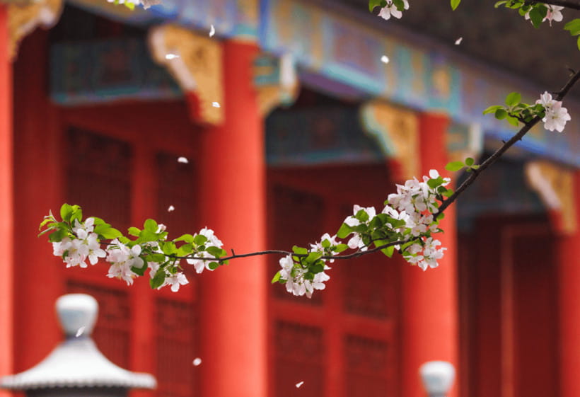 Beijing: Tiananmen Square and Forbidden City Entry Tickets - Tour Style Menu: Ticket-Only vs Guided vs Private