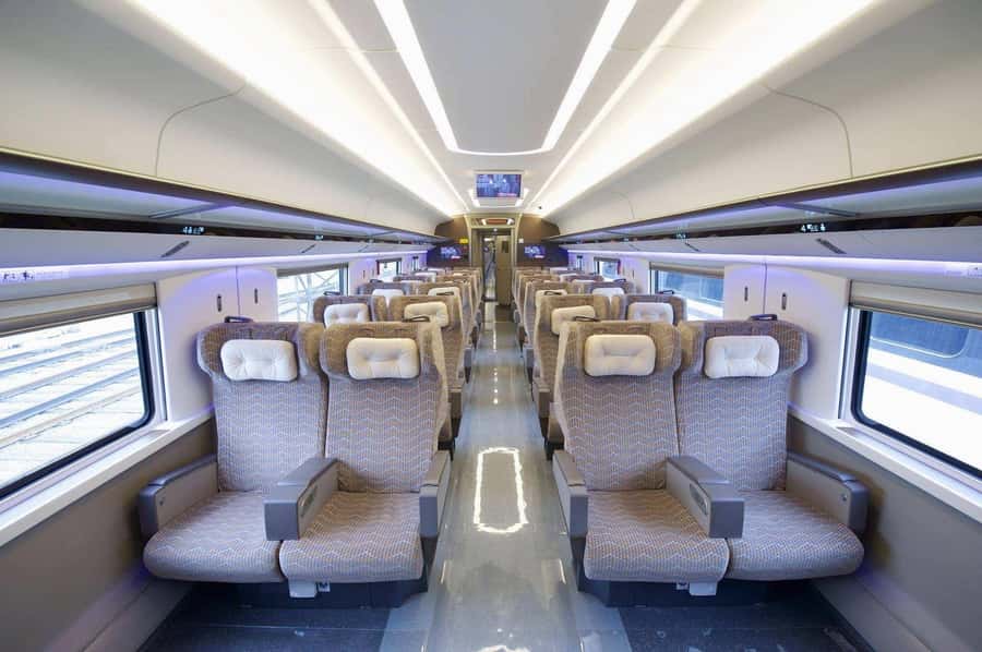 Beijing to Xi'an Terracotta Tour by Roundtrip Bullet Train - Guides, Languages, and the Private-Group Feel