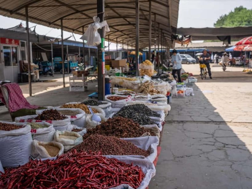 Beijing: Vegan Home Cooking & Local Market Tour with Sanxia - Key reasons this tour works