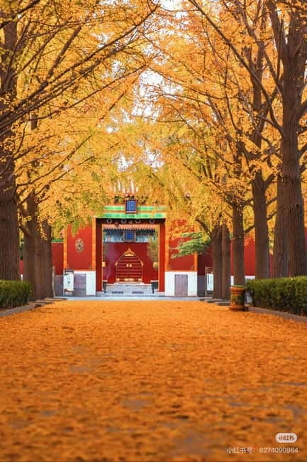 Beijing: Yonghe Lama Temple Tickets with guide (optional) - Getting there and timing: metro Line 5 and the entry cutoff