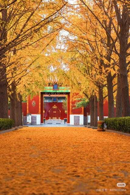 Beijing: Yonghe Lama Temple Tickets with guide (optional) - Should you book Yonghegong Lama Temple tickets with a guide?