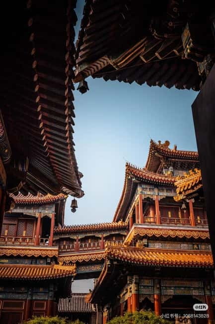 Beijing: Yonghe Lama Temple Tickets with guide (optional) - Price and what $12 buys you (and why it’s fair value)
