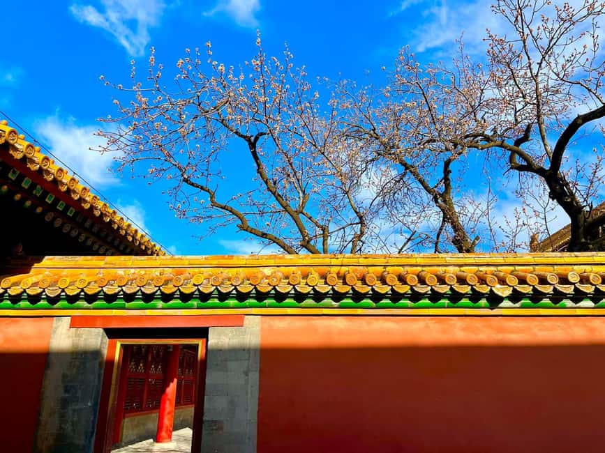 Beijing:Forbidden City--Reveal Secrets Behind Red Walls - Finishing in the Imperial Garden area, then at Shenwumen