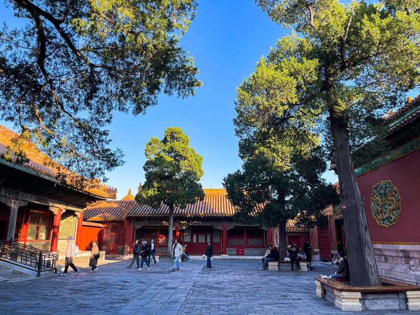 Beijing:Temple of Heaven+Forbidden City Private City Tour - Tian’anmen Square: Scale, Symbols, and Quick Orientation