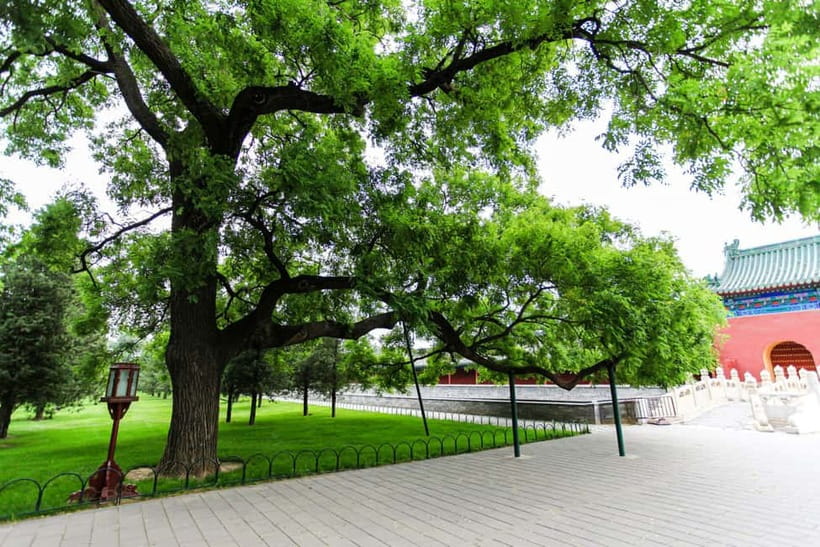Beijing：Forbidden City Tour—Temple, Summer Palace&Great Wall - Guides Make the Difference: What to Expect From the English Narration