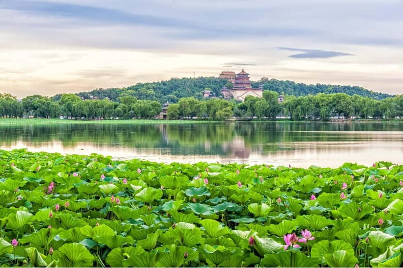 Beijing：Summer Palace & Tea or Calligraphy Experience Tour - Kung Fu tea ceremony: taste, tools, and technique