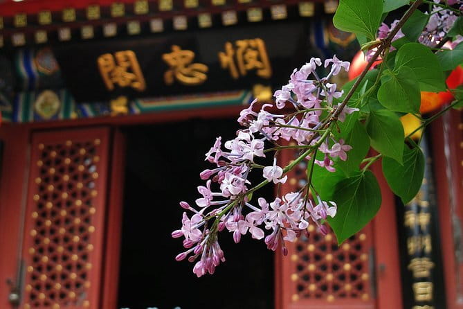 BusDa-Full-Day Bus Trips: Mutianyu, Summer & Old Summer Palaces - Price and value: why this $23 day can actually make sense