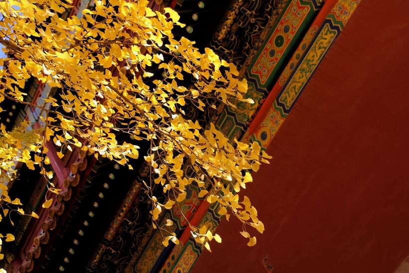Forbidden City Of Beijing Tickets Booking And Other Option - How long will this take: the realistic 2–8 hour range