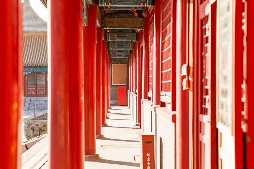 Forbidden City, Summer Palace & Temple of Heaven Tour - The lunch and tasting stop: a smart energy reset, not just a meal