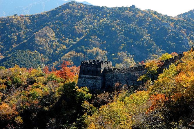 Great Wall of China at Mutianyu Full-Day Tour Including Lunch from Beijing - Price and logistics: what $79 includes (and what you’ll likely pay extra)