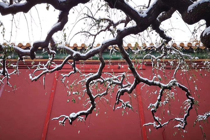 Half Day Beijing Group Tour to Tiananmen Square and Forbidden City - Hotel pickup at 8:00 am: the hidden value of not dealing with transit