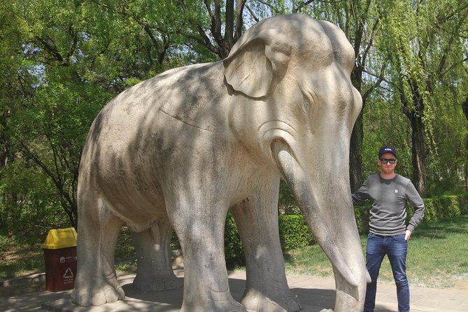 Half Day Tour to Ming Tombs Underground Palace and Sacred Path from Beijing - Who this private Ming Tombs tour is best for