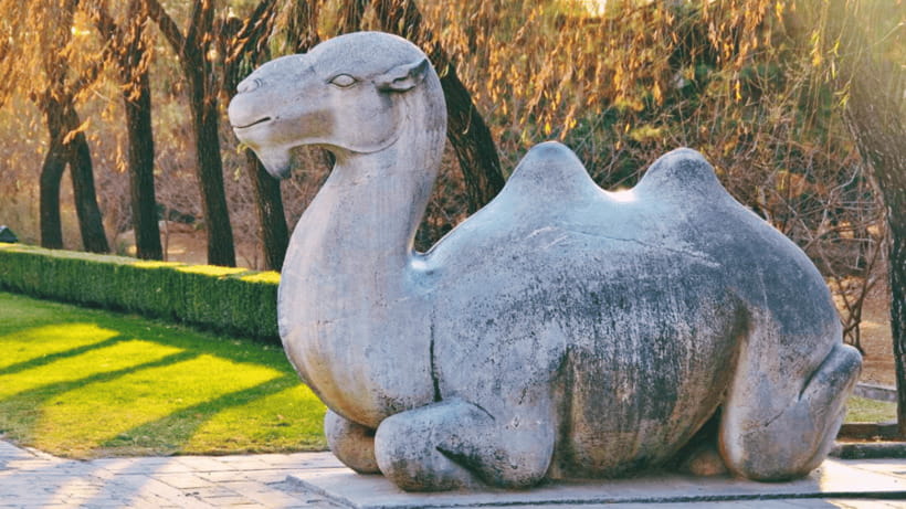 Ming Tombs Admission Ticket - Practical tips so your day flows (and doesn’t turn into stress)