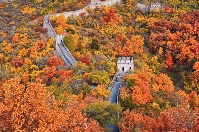 Mutianyu Great Wall and Forbidden City Private Tour with Lunch - The Most Useful Takeaways Before You Go